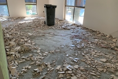 Floor Tile removal